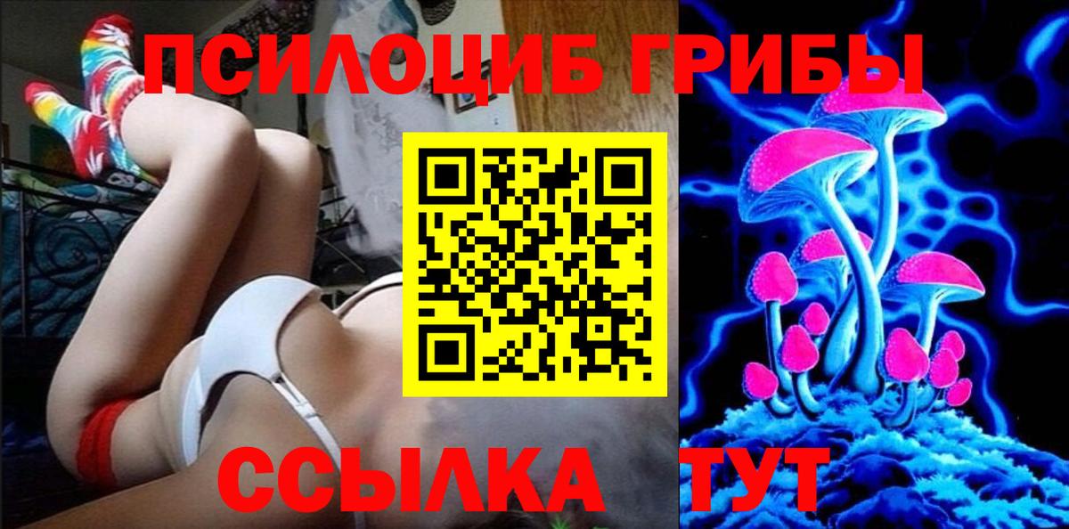 Псилоцибиновые грибы Psilocybine cubensis  Вход с VPN  Великий Новгород 